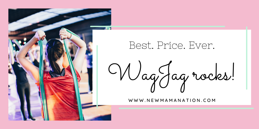 Best. Price. Ever. WagJag rocks!