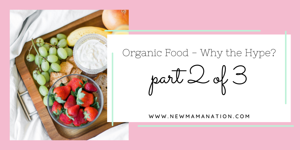 Organic Food – Why the Hype? Part 2 of 3