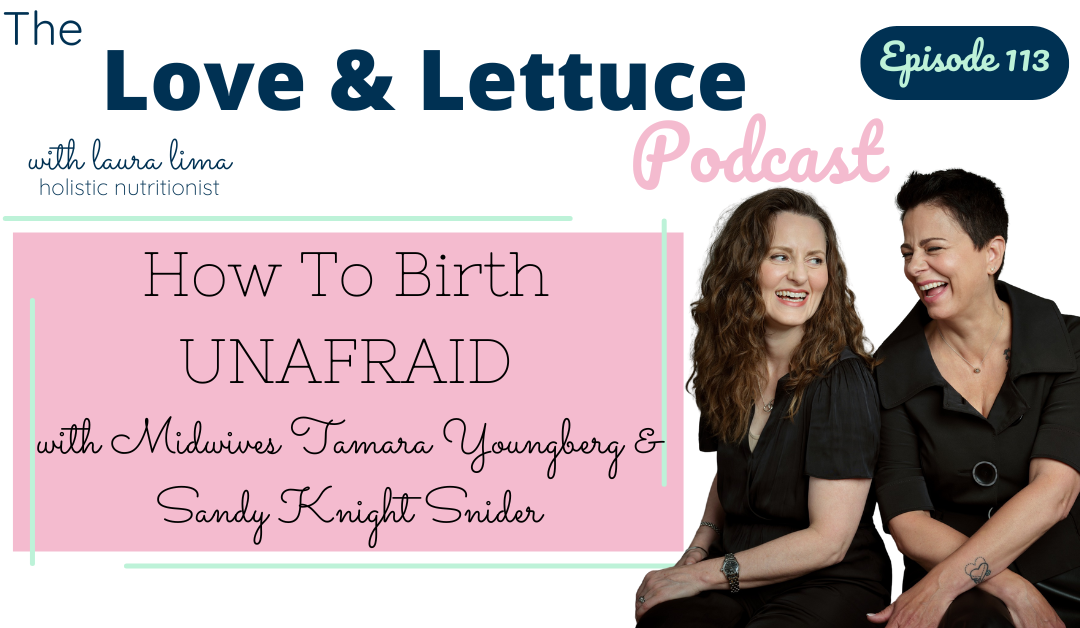 How To Birth UNAFRAID with Midwives Tamara Youngberg & Sandy Knight Snider